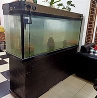 Jual Aquarium Arwana Bekas